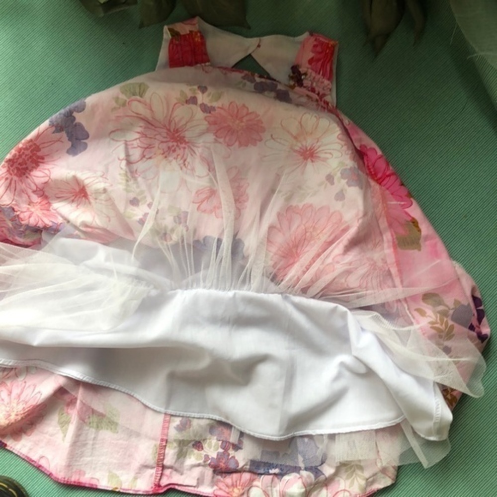 Sweet heart Rose dress size 4 dress girls pink floral ballet core - Picture 4 of 6